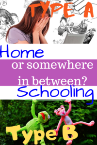 Type A or B Homeschooler?